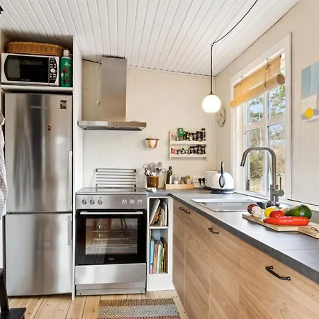 Claudine - 300m From The Sea By Interhome Tjørneholm